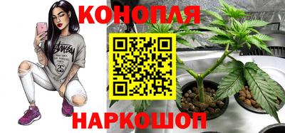 PSILOCYBIN Гусев