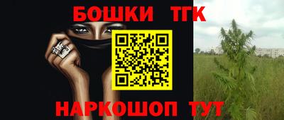 apvp Гусиноозёрск