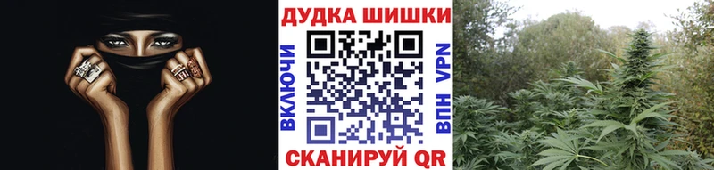 Бошки Шишки ГИДРОПОН Стрежевой