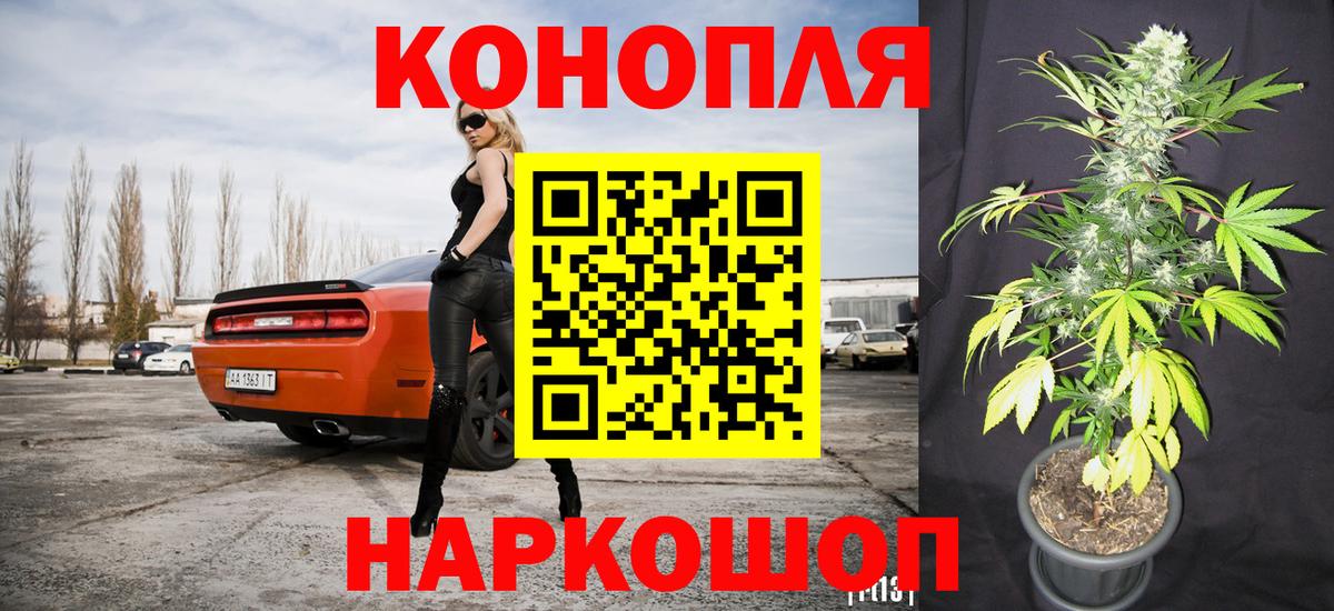 МАРИХУАНА конопля  Стрежевой  Каннабис сатива 